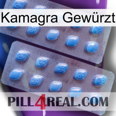 Kamagra Gewürzt viagra4